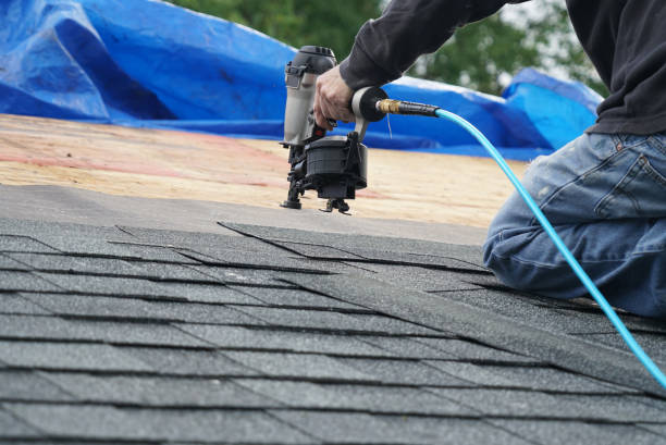 Best Metal Roofing Contractor  in Columbus Grove, OH
