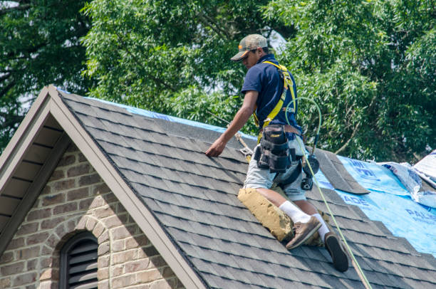 Best Roof Leak Repair  in Columbus Grove, OH